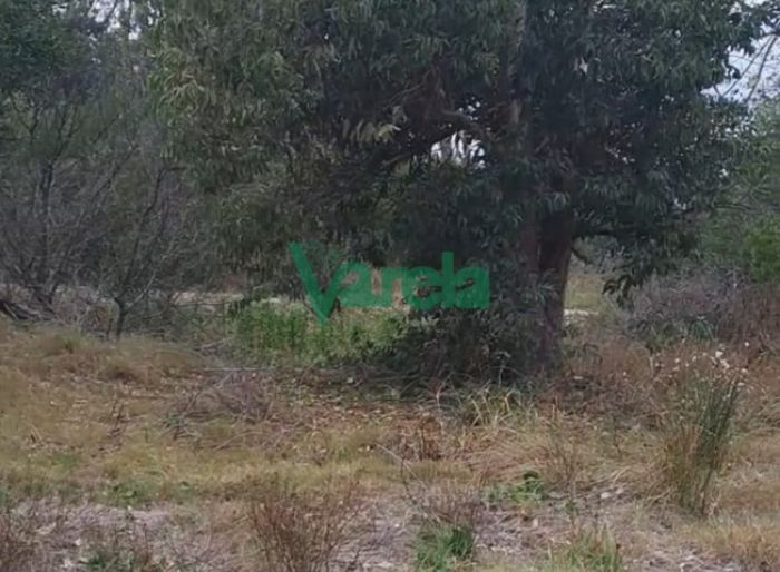 imagen  de la propiedad 119632