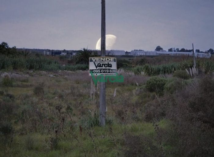 imagen  de la propiedad 119762