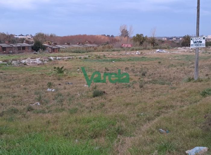 imagen  de la propiedad 119762