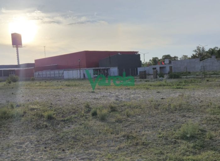 imagen  de la propiedad 129555