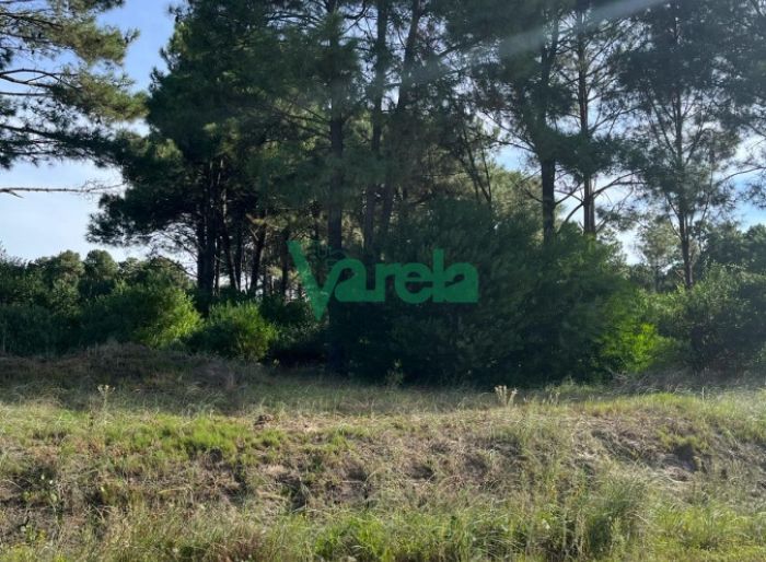 imagen  de la propiedad 119442