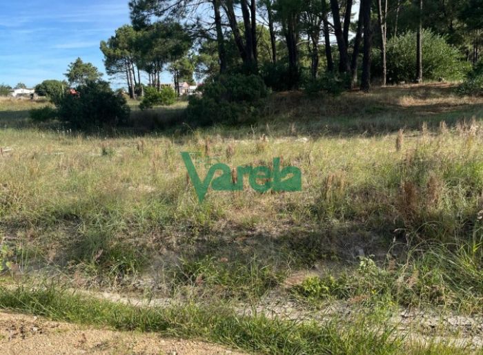 imagen  de la propiedad 119442