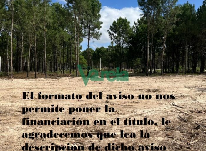 imagen  de la propiedad 119442