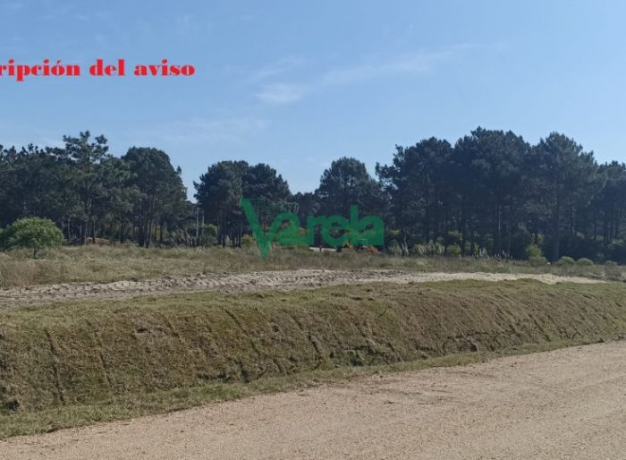 imagen  de la propiedad 119442