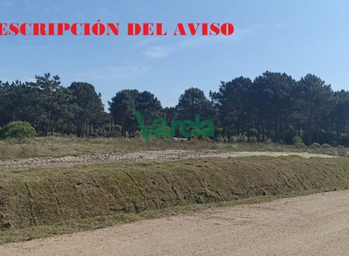 imagen  de la propiedad 119444