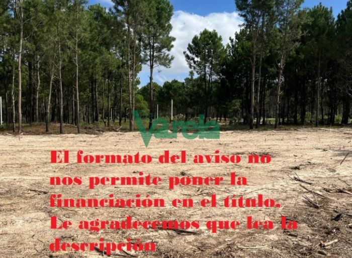 imagen  de la propiedad 119569