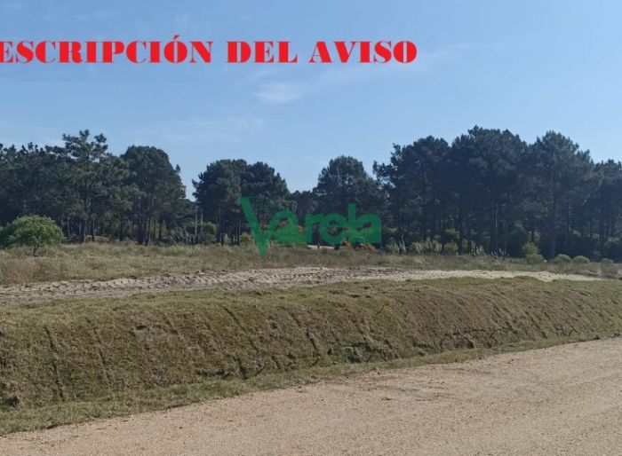 imagen  de la propiedad 119569