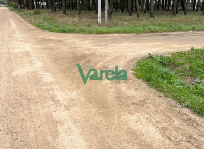 imagen  de la propiedad 119569
