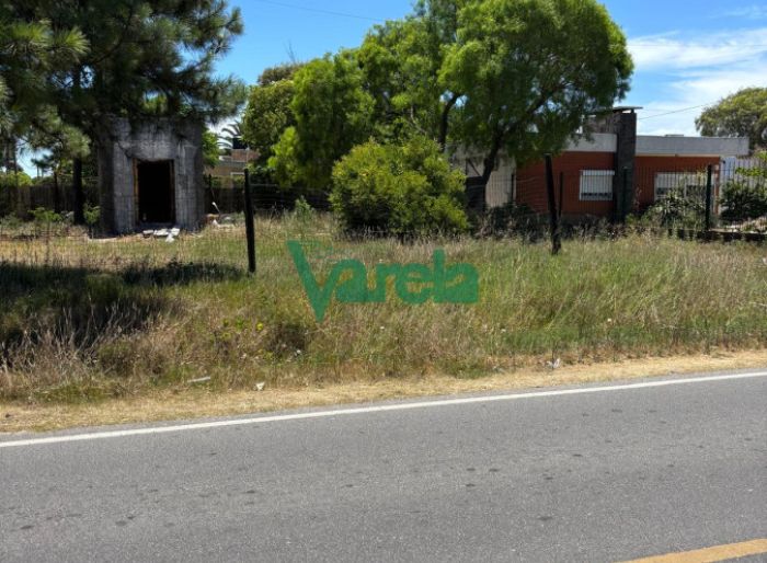 imagen  de la propiedad 144455