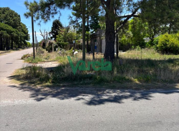 imagen  de la propiedad 144455