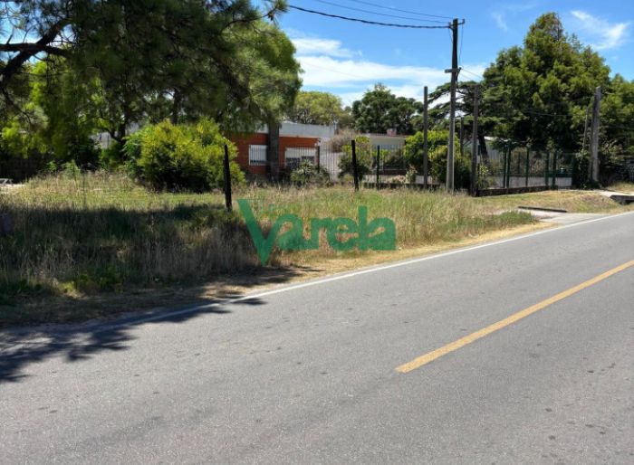 imagen  de la propiedad 144455
