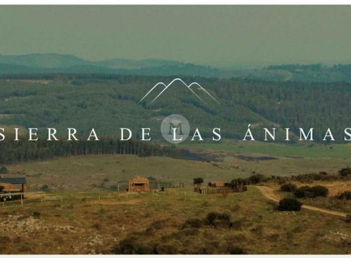 imagen  de la propiedad 34936