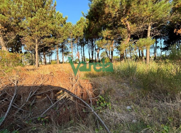 imagen  de la propiedad 150575