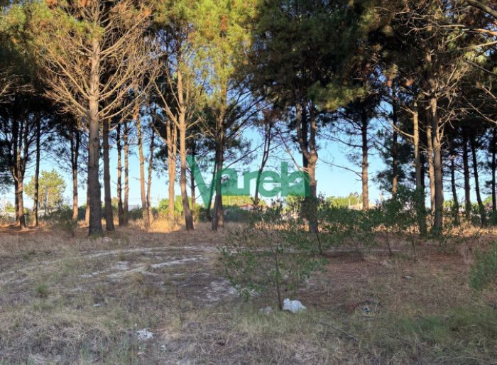 imagen  de la propiedad 150575