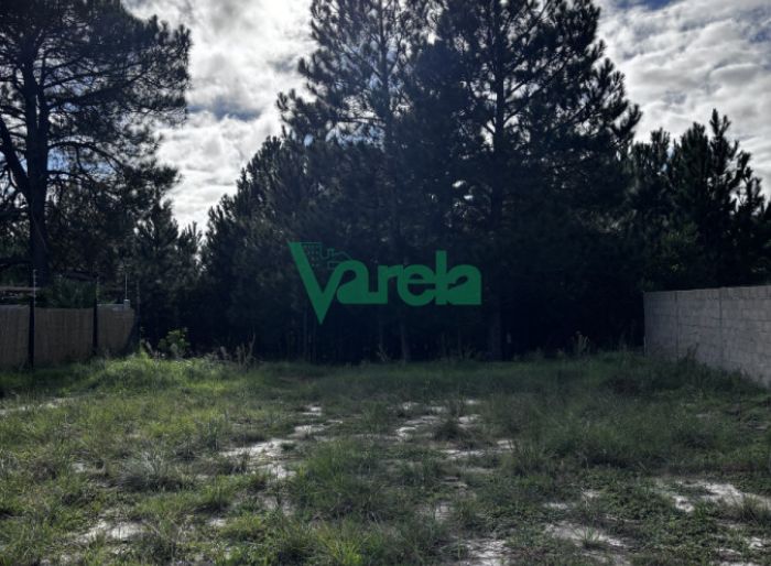 imagen  de la propiedad 171108