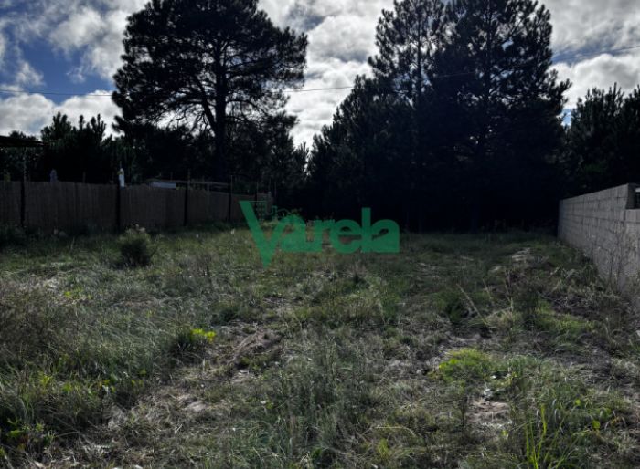 imagen  de la propiedad 171108