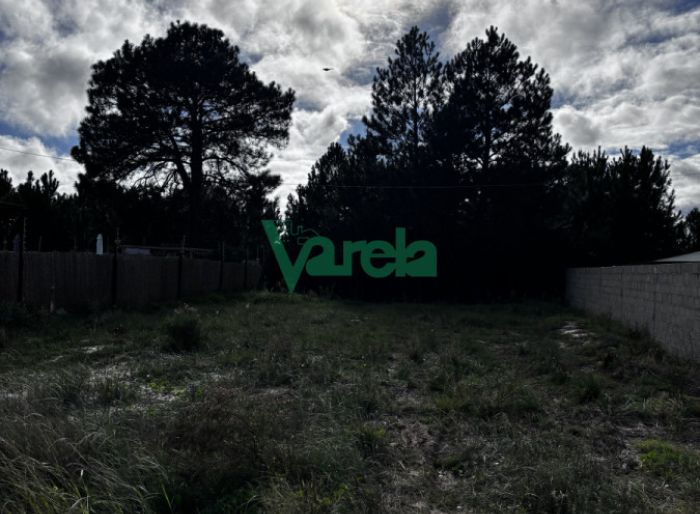 imagen  de la propiedad 171108
