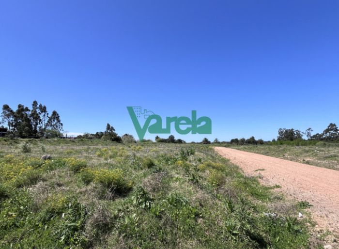 imagen  de la propiedad 178665