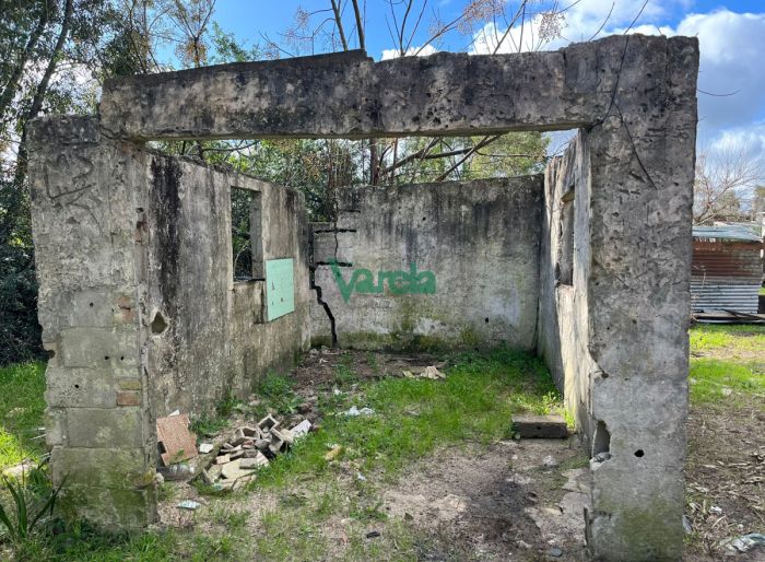 imagen  de la propiedad 130963