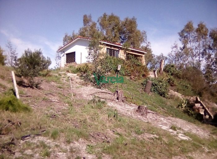 imagen  de la propiedad 150261