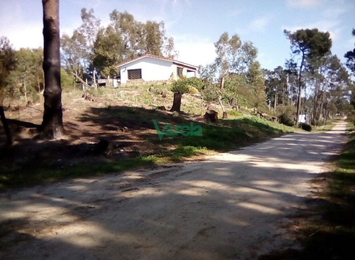imagen  de la propiedad 150261
