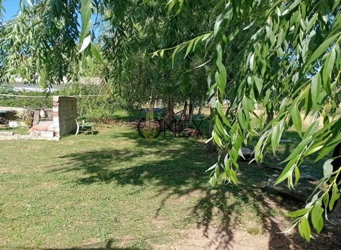 imagen  de la propiedad 116908