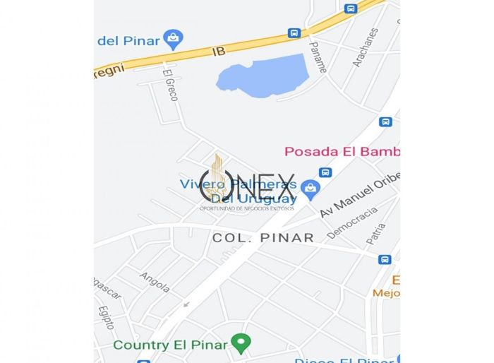 imagen  de la propiedad 116926