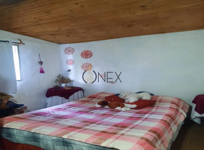 imagen  de la propiedad 116931