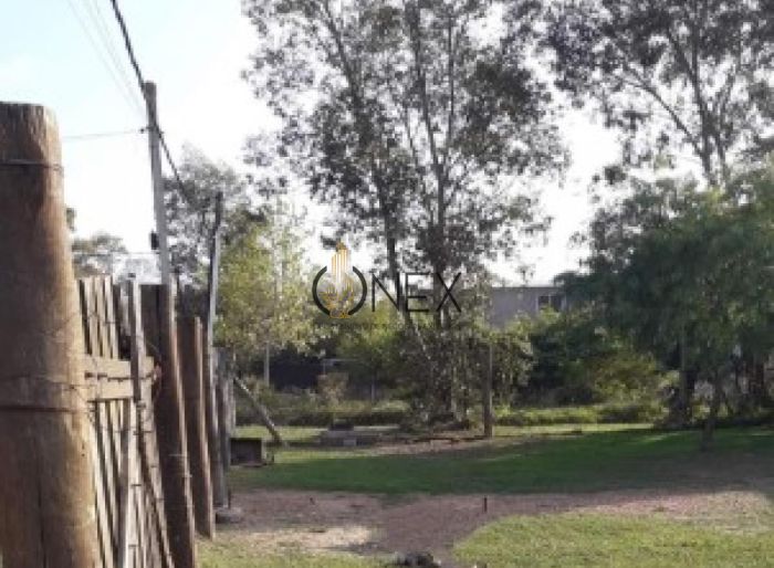 imagen  de la propiedad 116957