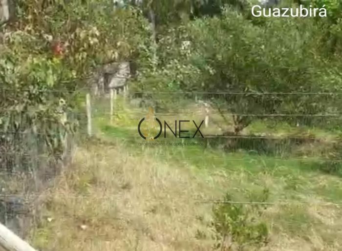 imagen  de la propiedad 116989