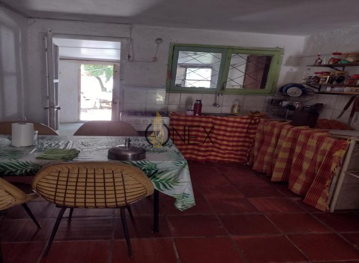 imagen  de la propiedad 117006