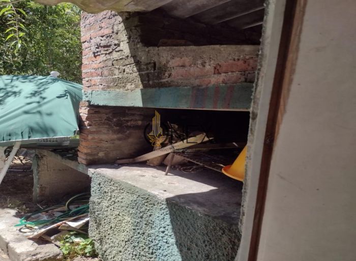 imagen  de la propiedad 117006