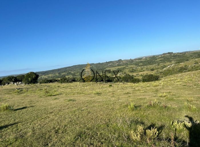imagen  de la propiedad 117012
