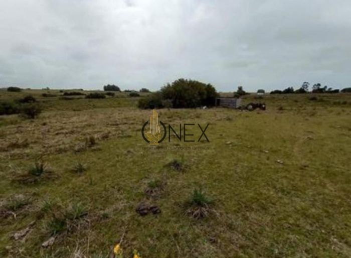imagen  de la propiedad 117024