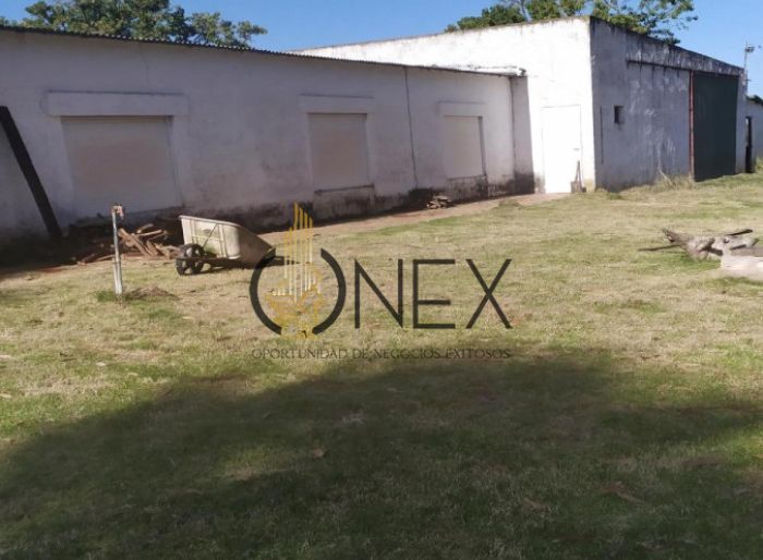 imagen  de la propiedad 117037