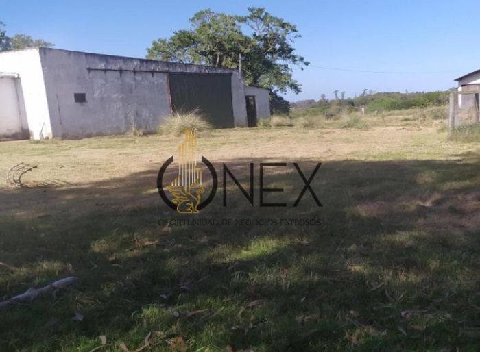 imagen  de la propiedad 117037