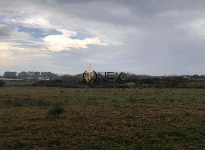 imagen  de la propiedad 117052
