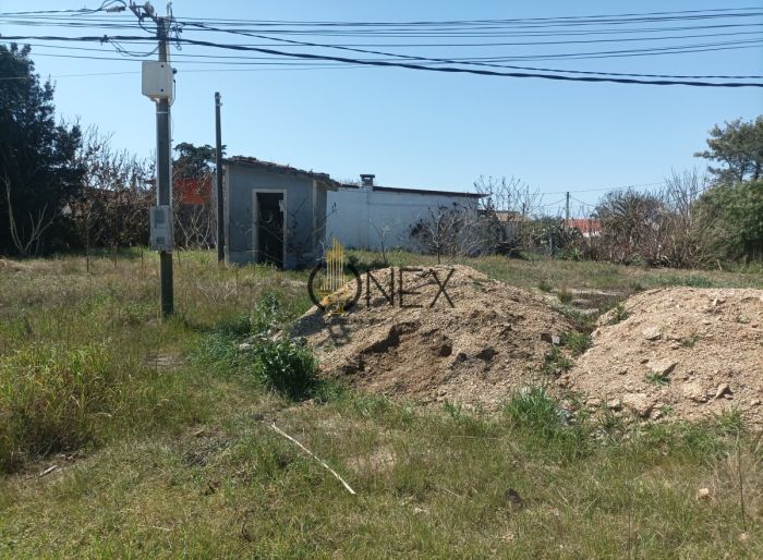 imagen  de la propiedad 122261