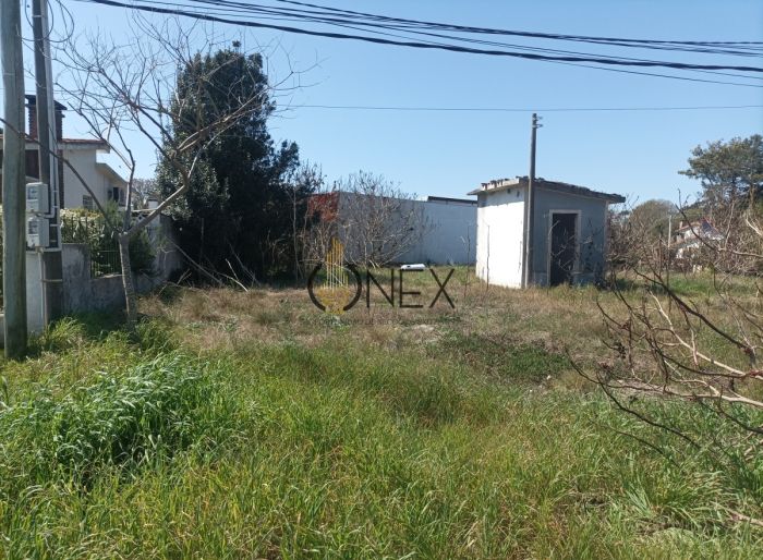 imagen  de la propiedad 122261