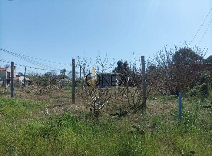 imagen  de la propiedad 122261