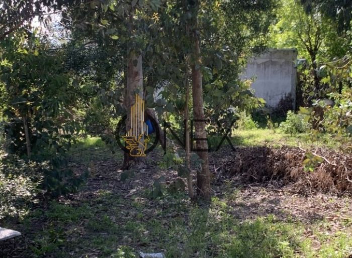 imagen  de la propiedad 127051