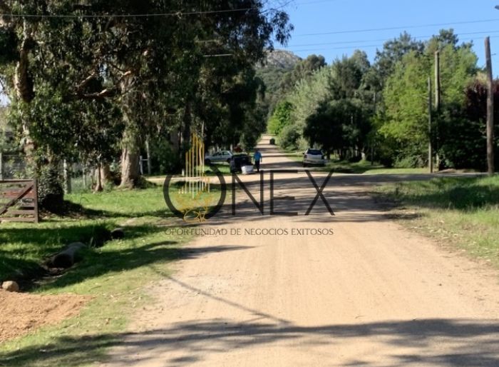 imagen  de la propiedad 127051