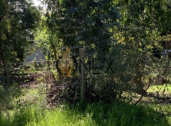 imagen  de la propiedad 127051