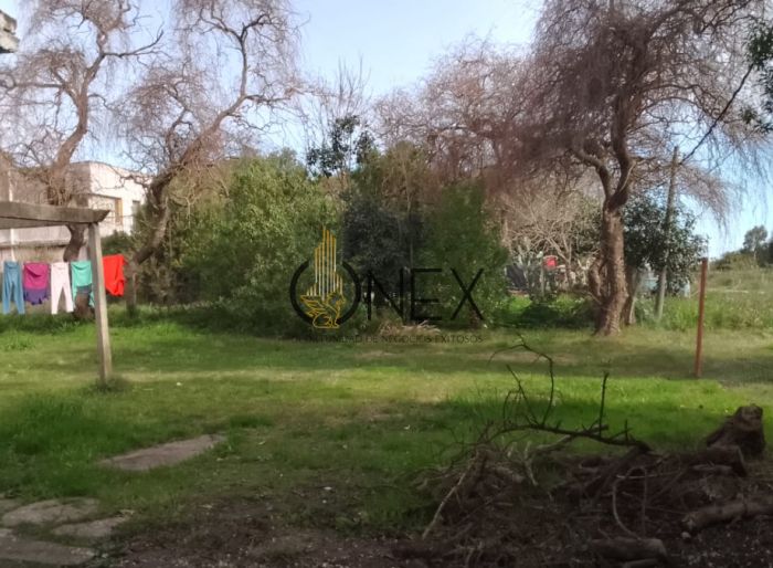 imagen  de la propiedad 133158