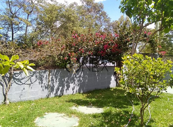 imagen  de la propiedad 164050