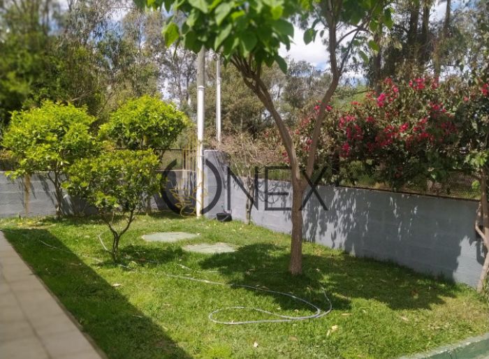 imagen  de la propiedad 164050
