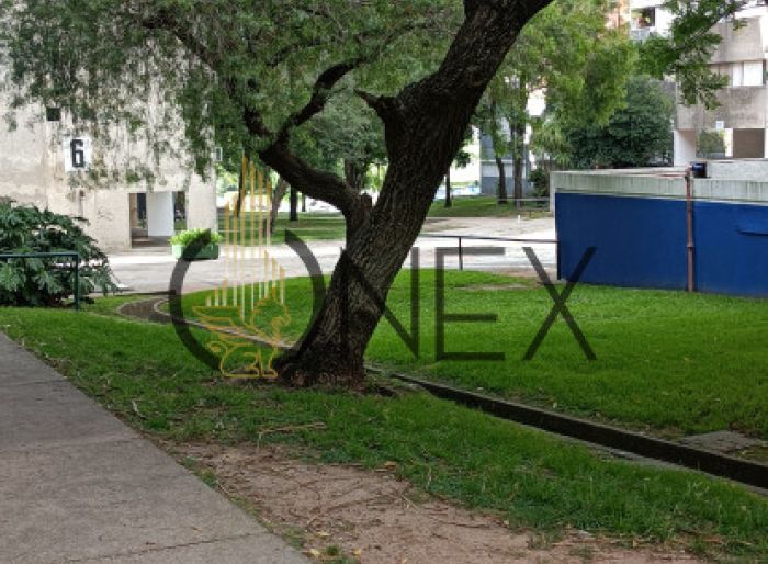 imagen  de la propiedad 168465