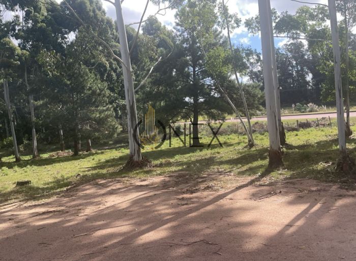 imagen  de la propiedad 171131