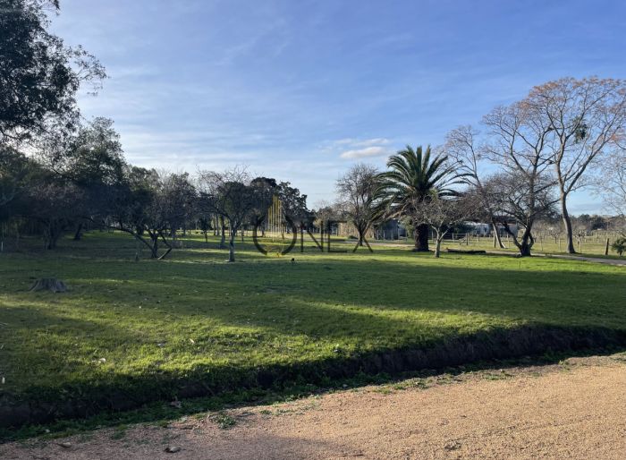 imagen  de la propiedad 171321