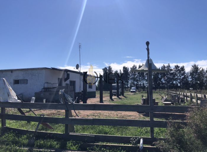 imagen  de la propiedad 179699